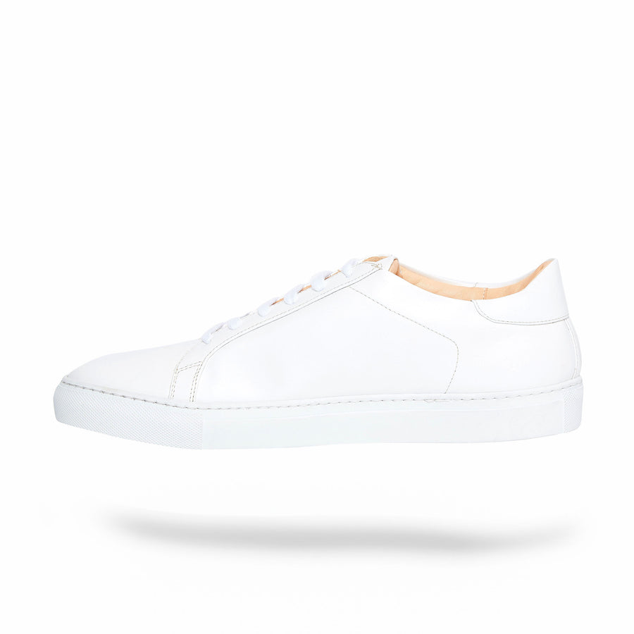 LOW WHITE