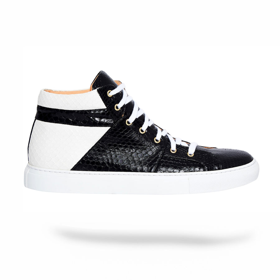 Black Duo Python