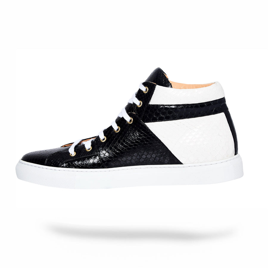 Black Duo Python