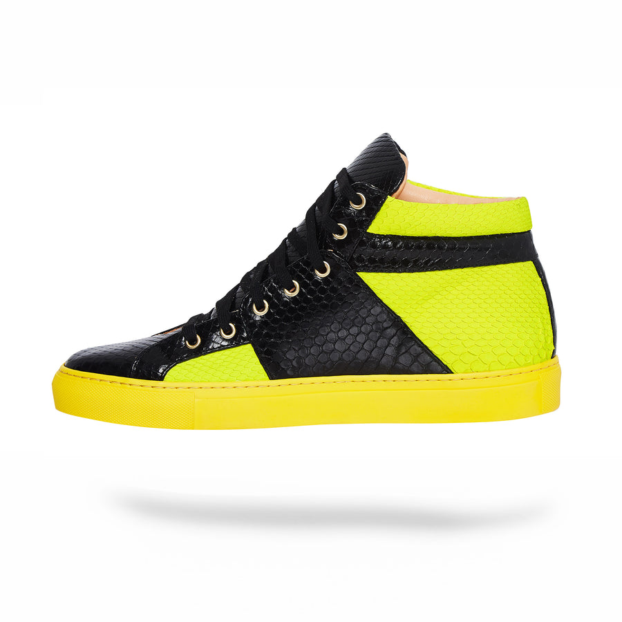 Neon Sunshine Python