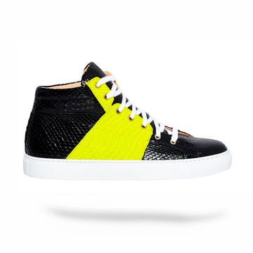 Neon Flight Python