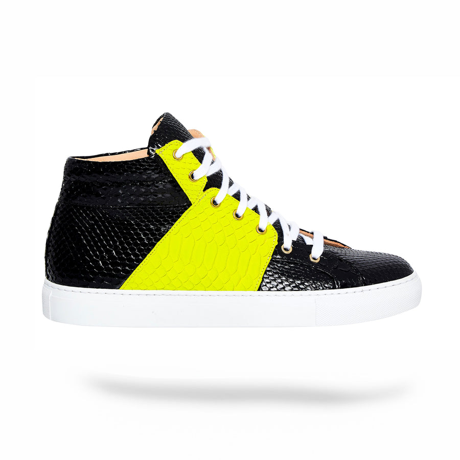 Neon Flight Python