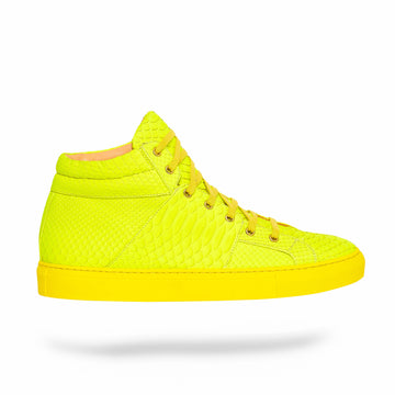 Yellow Scales