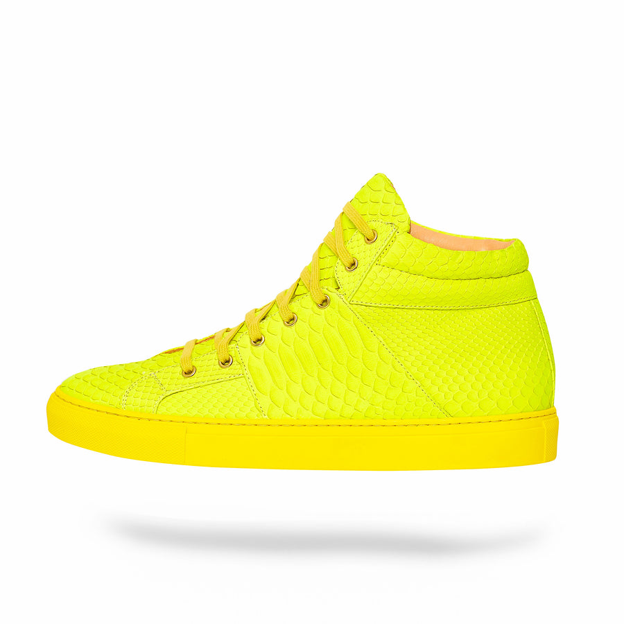 Yellow Scales